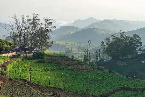 Ooty, Ooty
