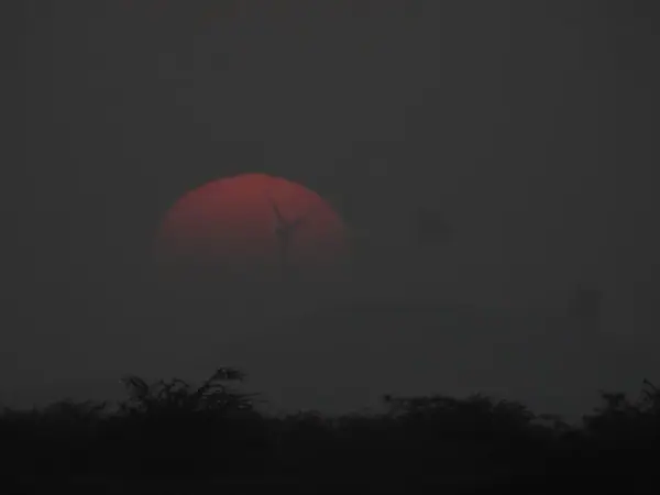 Rann of Kutch sunset, Dhordo