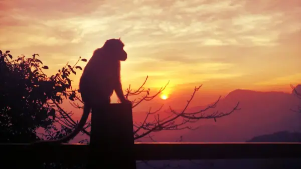 Wayanad sunset, Wayanad